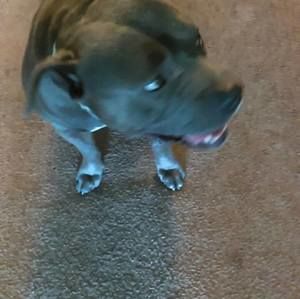 Meet your Posher, Daryl